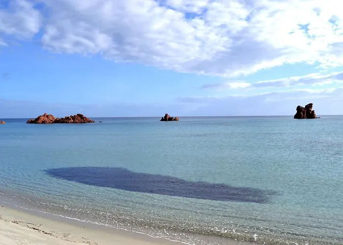 ゲストハウス La Torre Loceri